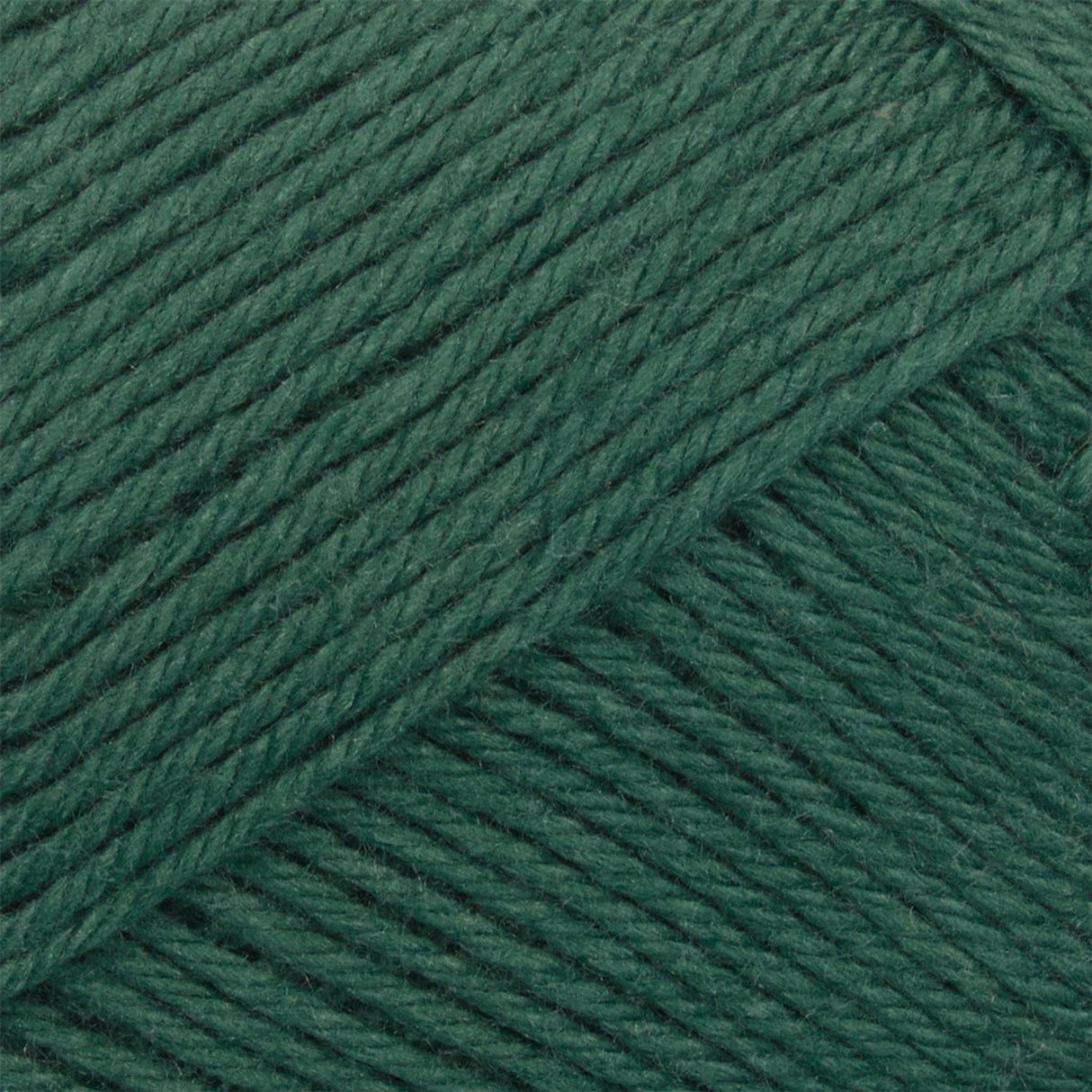 ANYDAY Cotton 8/4 10-pak