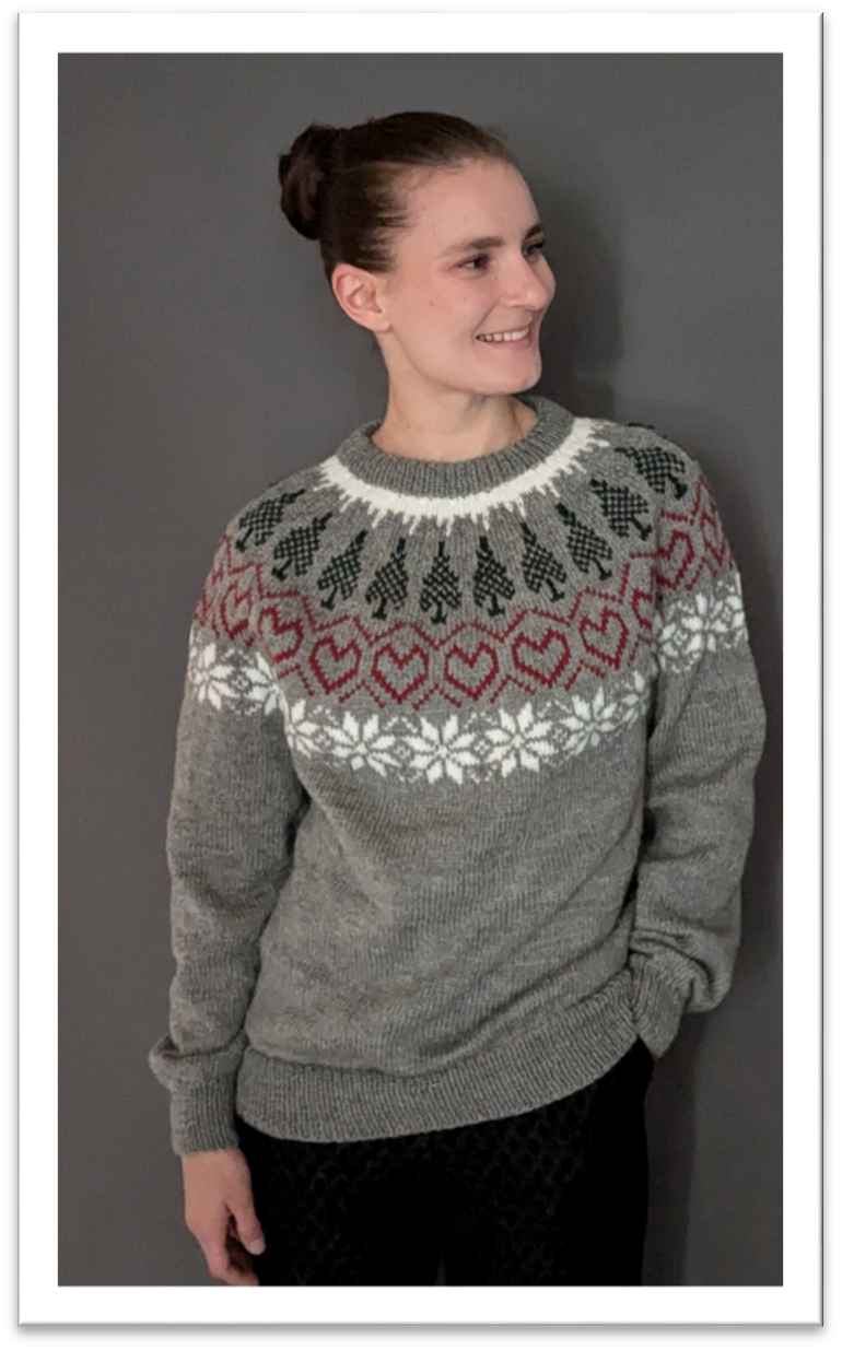 DN13 Julesweater 2024