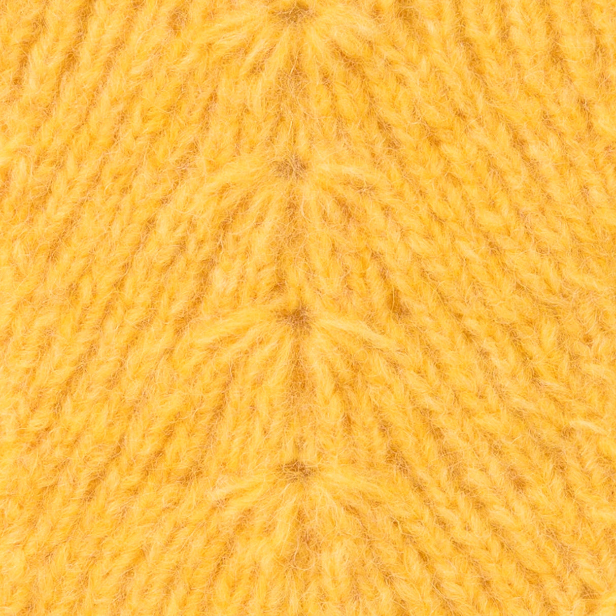 Mayflower Winterstar - Santiago Style