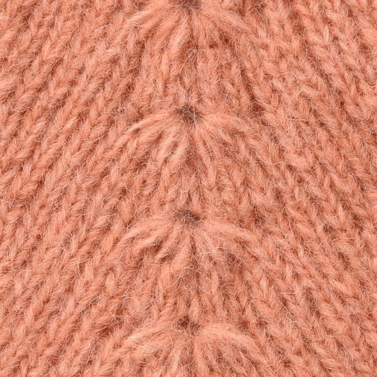 Mayflower Winterstar - Santiago Style