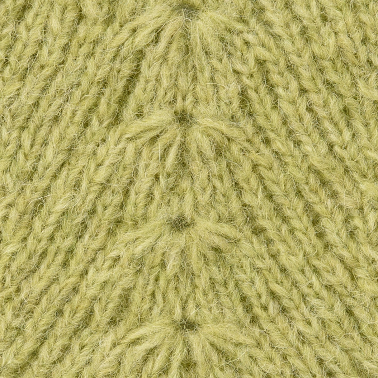 Mayflower Winterstar - Santiago Style