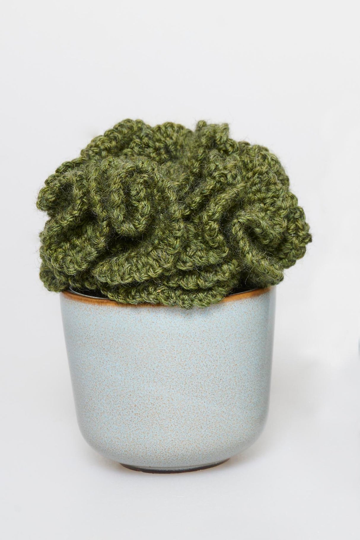 Bølget sukkulent Opskrift