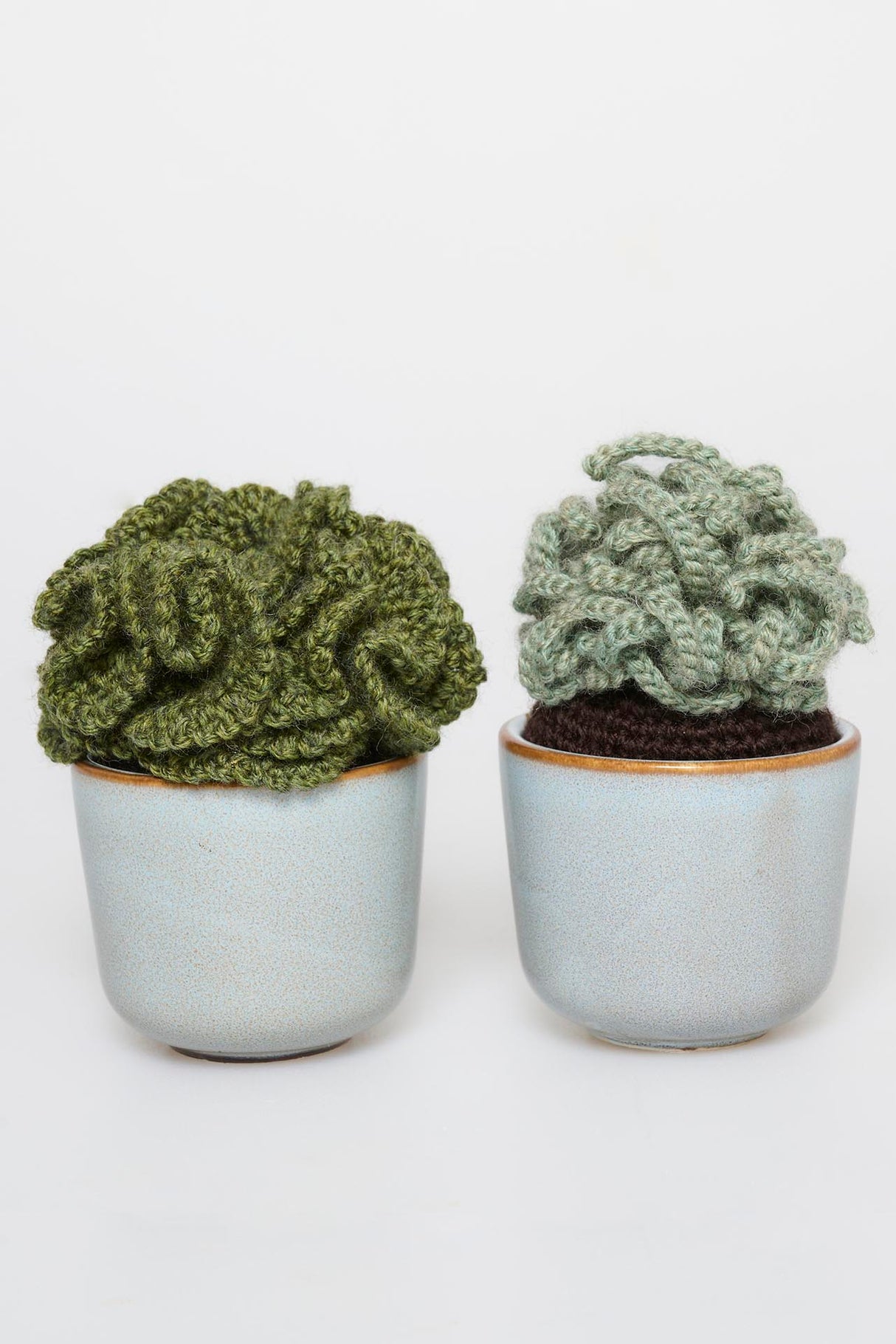 Bølget sukkulent Opskrift