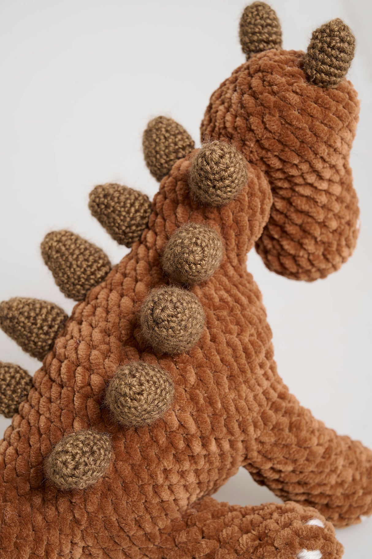 Baby Dino Stegosaurus