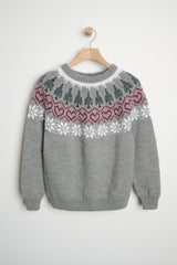 DN13 Julesweater 2024