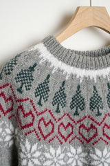 DN13 Julesweater 2024