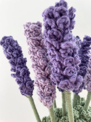 Hæklet Lavendel Opskrift